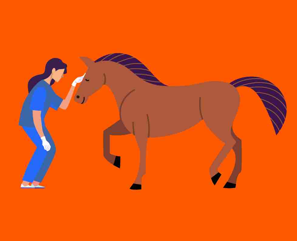 Licenciatura en Medicina Veterinaria y Zootecnia